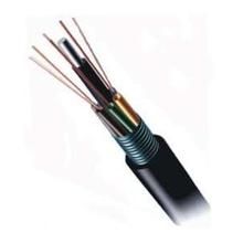 信息时代的隐形动脉 光缆的奥秘与影响