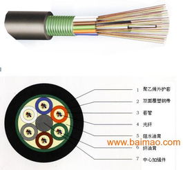 24芯单模光缆GYTS 24B1 产品详解、厂家选择与价格指南