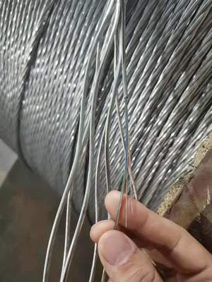 光纤光缆 构建高速信息时代的神经脉络